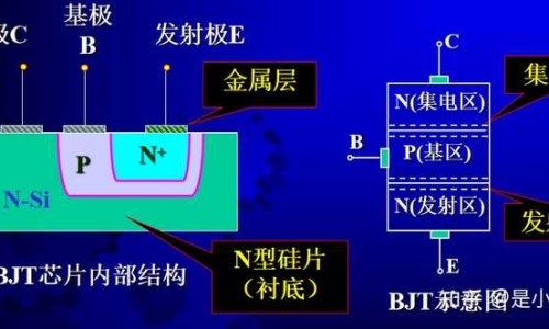 高血糖能吃什么水果-高血糖的能吃什么不能吃什么食物网 :分享血糖高的能吃什么食物-高血糖能吃什么水果有哪些知识